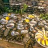 Festival internacional de ostras y mariscos de Galway: ¡un delicioso viaje a Galway en septiembre!