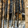 Гостиницы и апартаменты России — лучший выбор для комфортного отдыха на природе