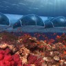 Отель Посейдона Фиджи: сказка или реальность?