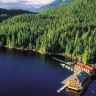La excelencia de la vida silvestre en King Pacific Lodge Canadá!